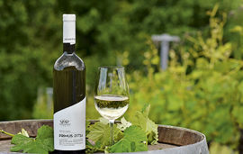 zitsa wines epirus