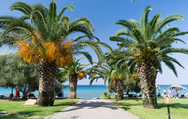 karavitsi villa neos marmaras sithonia (39)