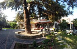 alterra vita bed and breakfast paradisos neos marmaras sithonia 1