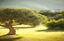 porto koufo resort porto koufo sithonia 6