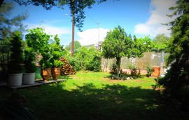 plaisir studio limenaria thassos garden 2