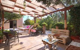 lotos nikos corner potos thassos   (6)