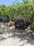 Brilante Lux House, Potos, Thassos
