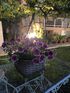 Brilante Lux House, Potos, Thassos