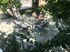 Stay At Lenas Apartment, Nikiti, Sithonia