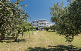 gerakini apartment gerakini sithonia 10