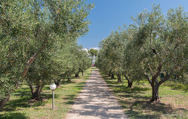 gerakini apartment gerakini sithonia 31