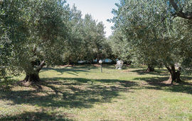 gerakini apartment gerakini sithonia 8