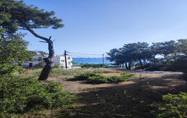 Pefkari House, Pefkari, Thassos