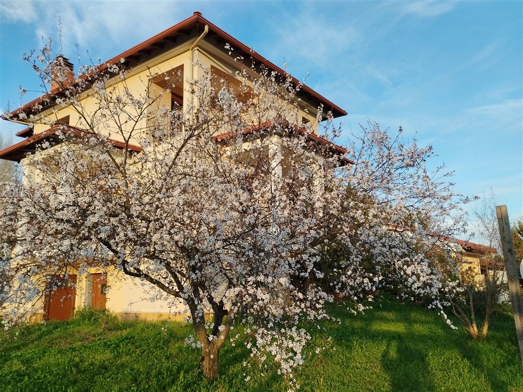 Alex Home, Sykia, Sithonia