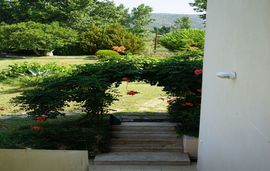 Alex Home, Sykia, Sithonia