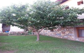 anna villa agios nikolaos sithonia 5