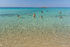 kalogria beach sithonia 