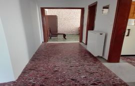 sofias garden apartment limenaria thassos  (2)