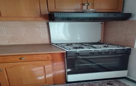 sofias garden apartment limenaria thassos  (20)