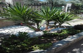 sofias garden apartment limenaria thassos  (25)