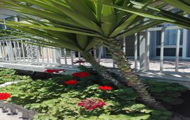 sofias garden apartment limenaria thassos  (26)