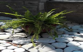 sofias garden apartment limenaria thassos  (29)