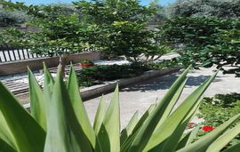 sofias garden apartment limenaria thassos  (30)