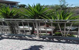 sofias garden apartment limenaria thassos  (33)