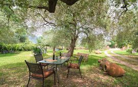 Anastasia Apartments, Skala Potamia, Thassos