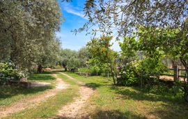 Anastasia Apartments, Skala Potamia, Thassos