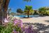 Simon Prince Prive Apartments, Vourvourou, Sithonia