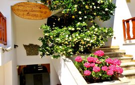 to kavouri rooms and apartments skala potamia thassos  (10)