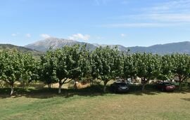 Fotini Studios, Vasiliki, Lefkada