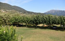 Fotini Studios, Vasiliki, Lefkada