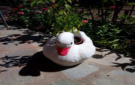 sirius studios epirus sivota 4