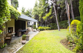 araucaria shared pool villa sani kassandra 1
