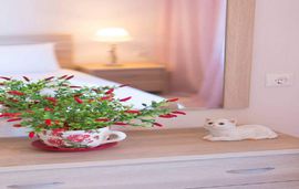 Sevastianis Apartments, Skala Kallirachi, Thassos, 4 Bed Apartment