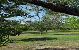 billys vacation house ormos panagias sithonia 5