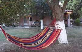 lemonis zoi studios sykia sithonia 10