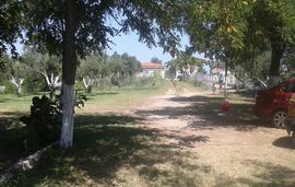 lemonis zoi studios sykia sithonia 14