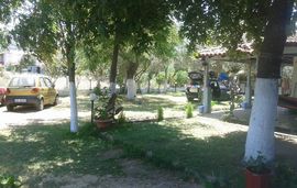 lemonis zoi studios sykia sithonia 15