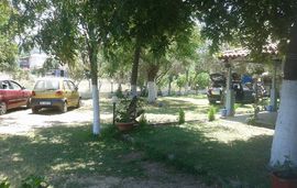 lemonis zoi studios sykia sithonia 16