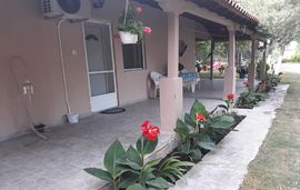 lemonis zoi studios sykia sithonia 17