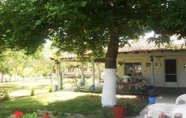 lemonis zoi studios sykia sithonia 2