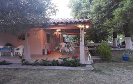 lemonis zoi studios sykia sithonia 6