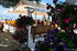 island beach bar limenas thassos (6) 