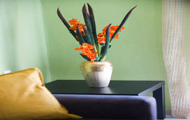 roxanis apartments agios nikolaos sithonia apartment M 11