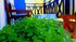 anastasia pansion ammouliani athos 2 bed room 1 
