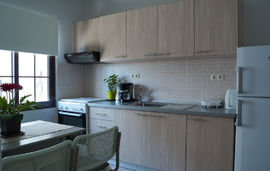 ingreen apartment potamia thassos  (6)