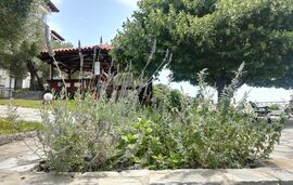 Alexiadis Villa, Loutra, Kassandra