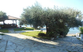 Alexiadis Villa, Loutra, Kassandra