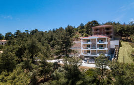 meli boutique hotel trypiti thassos  (32)