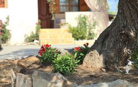 dream house villa alyki thassos  (26)