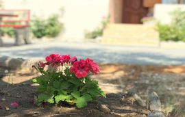 dream house villa alyki thassos  (27)